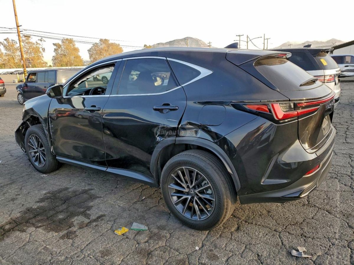 Lexus NX 300 F-sport 2023 — миниатюра 2