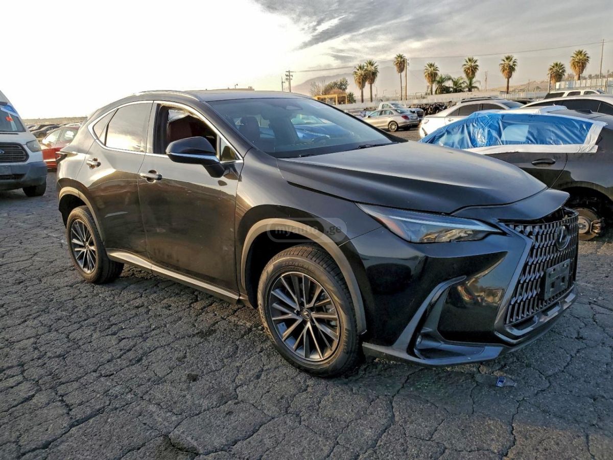 Lexus NX 300 F-sport 2023 — миниатюра 4