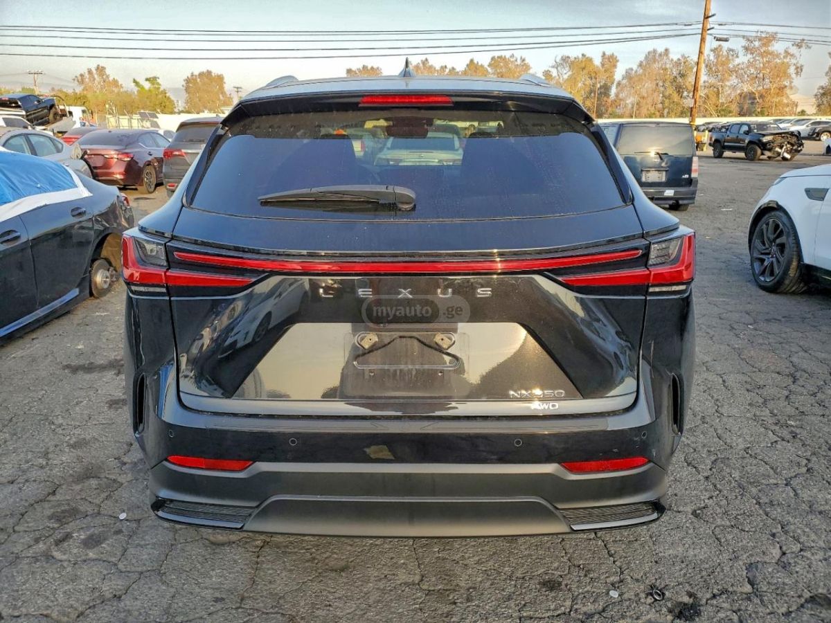 Lexus NX 300 F-sport 2023 — миниатюра 6