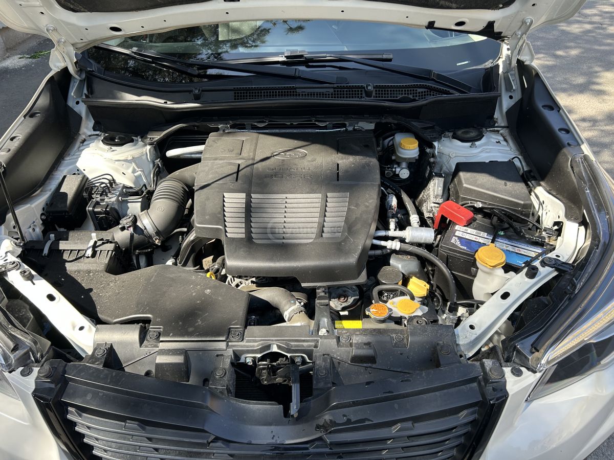 Subaru Forester - фото 10