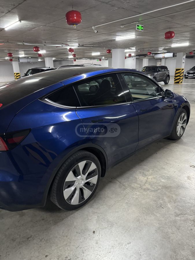 Tesla Long Range Dual Motor — миниатюра 2