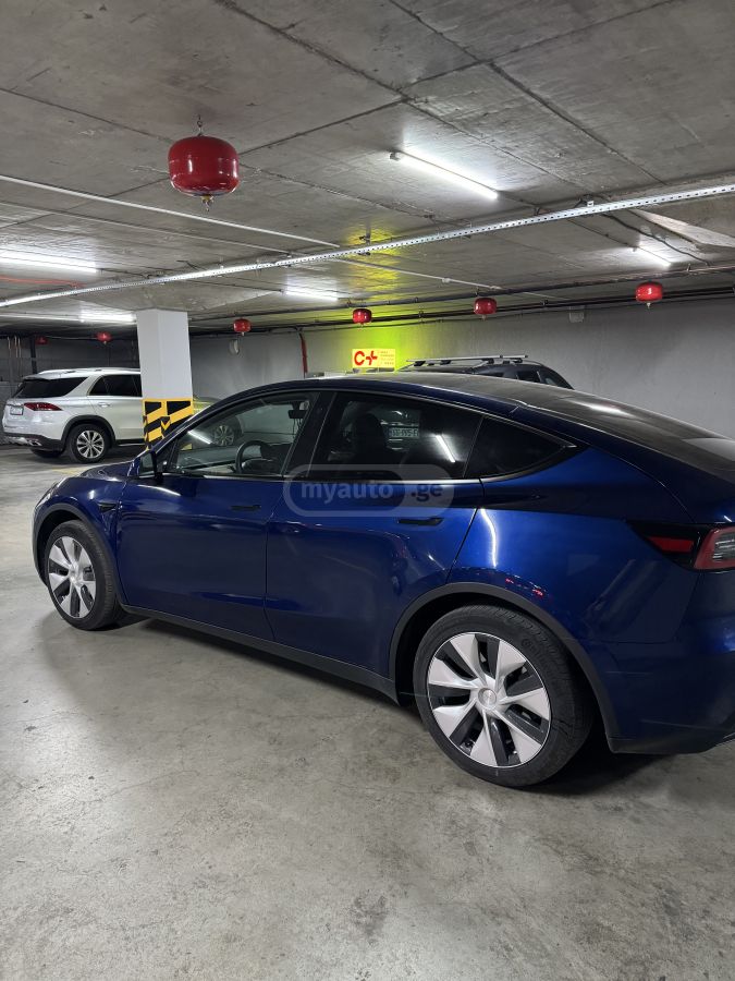 Tesla Long Range Dual Motor — миниатюра 3