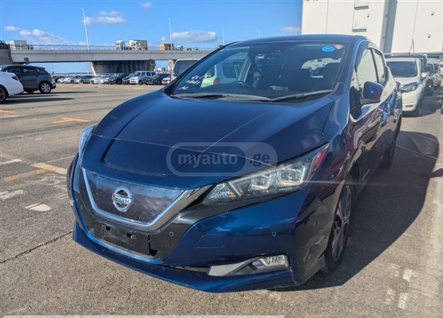 Nissan Leaf - фото 1