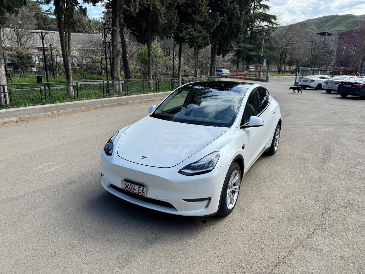 Tesla Model Y - фото 1