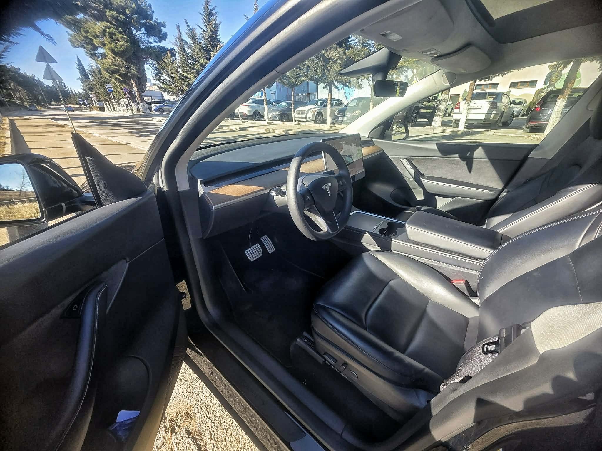 Tesla Performance — миниатюра 10