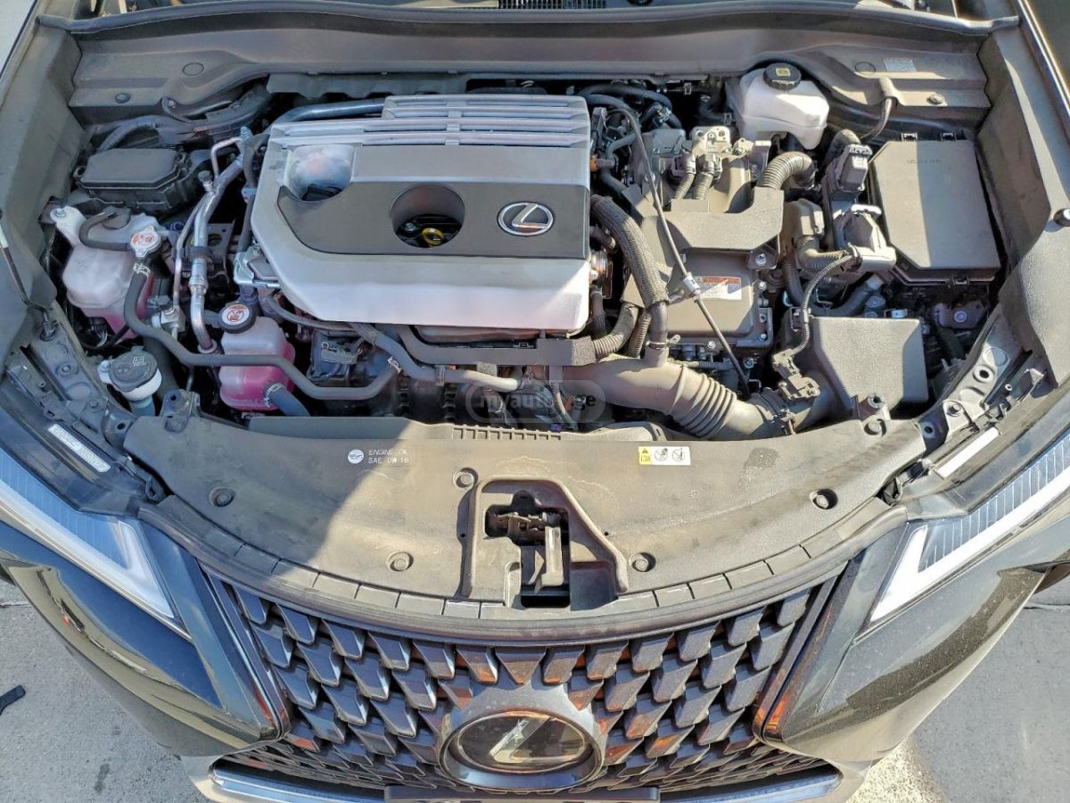 Lexus UX 250 h 2023 — миниатюра 12