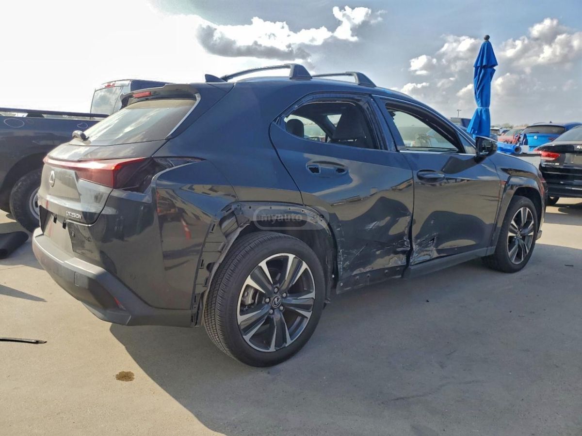 Lexus UX 250 h 2023 — миниатюра 3