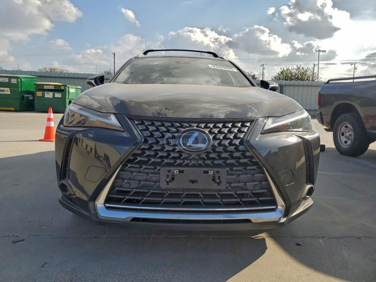 Lexus UX 250 h 2023 — миниатюра 5