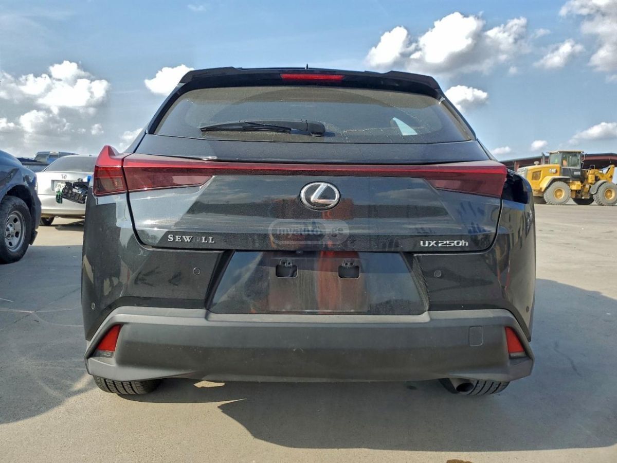 Lexus UX 250 h 2023 — миниатюра 6