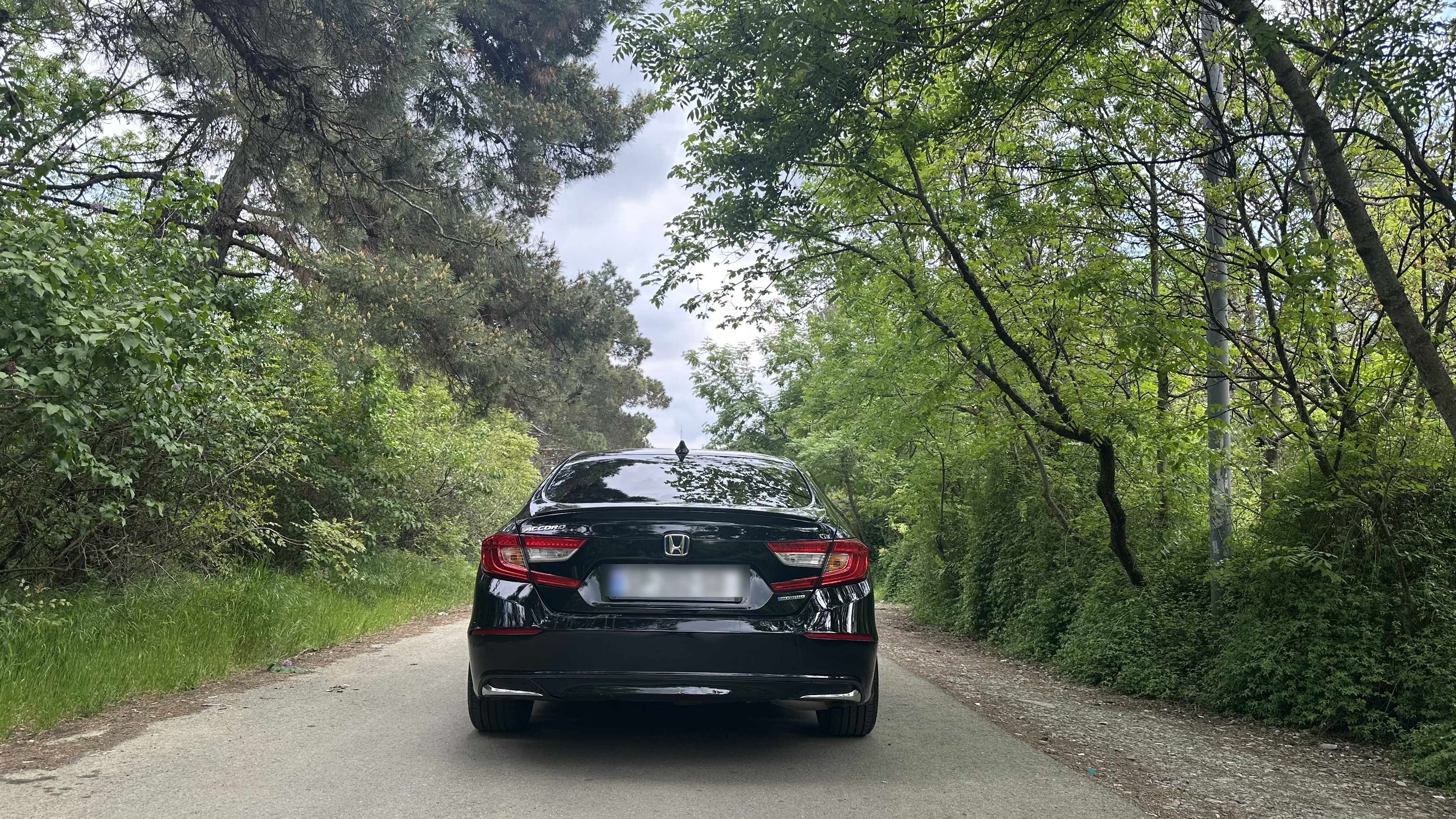 Honda Accord - фото 6