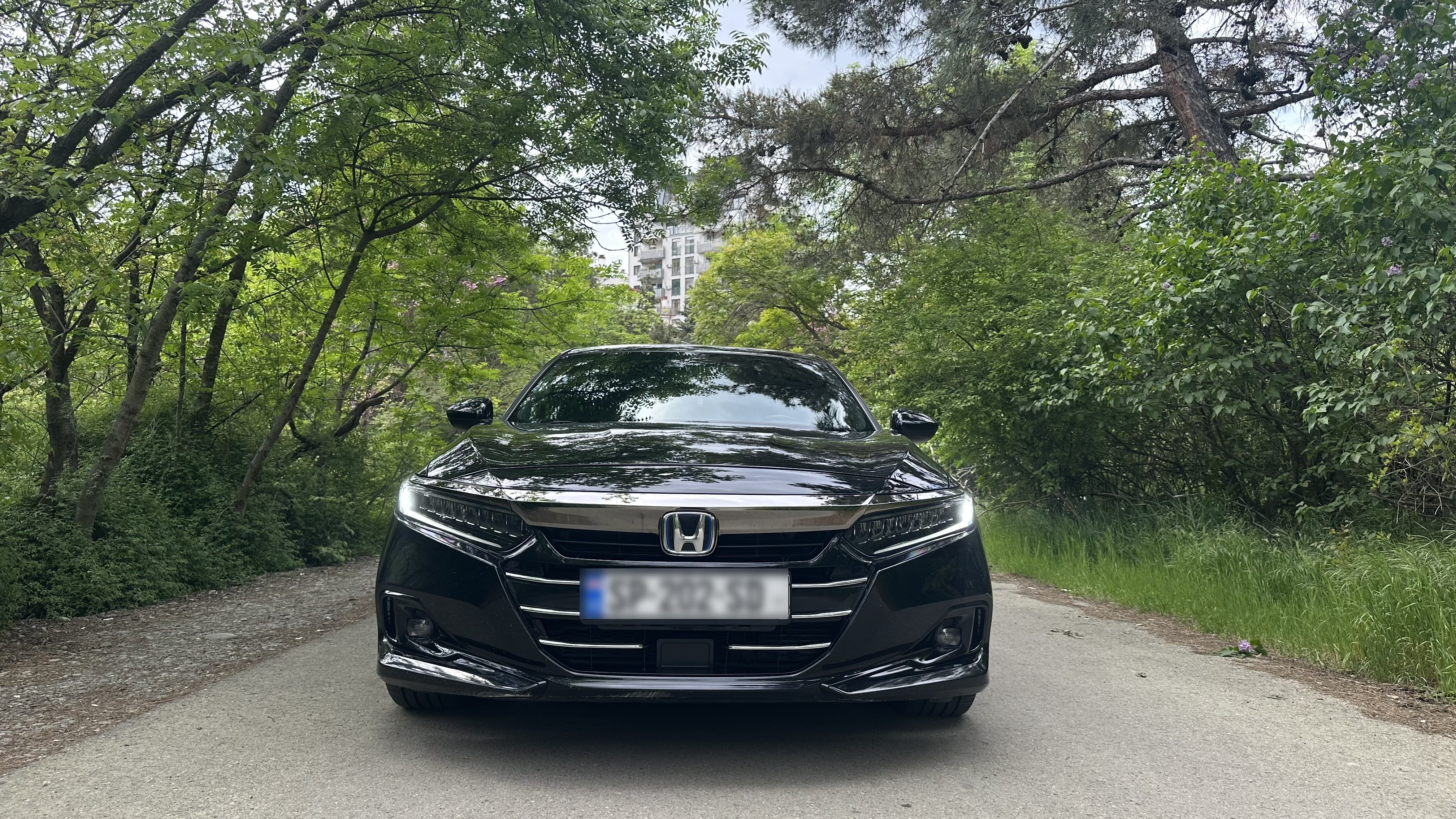Honda Accord - фото 7