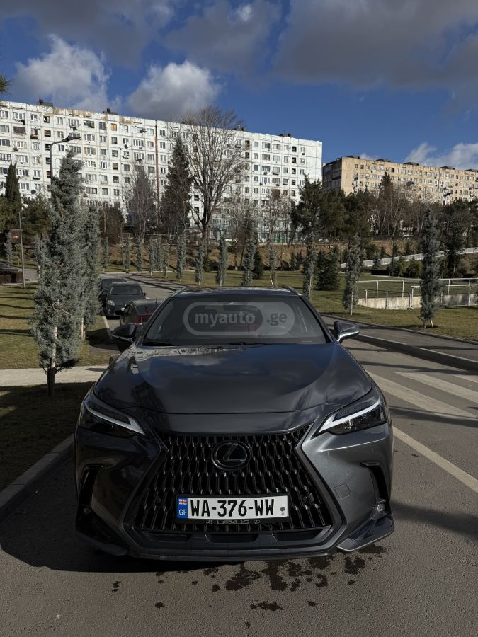 Lexus NX 250 - фото 1