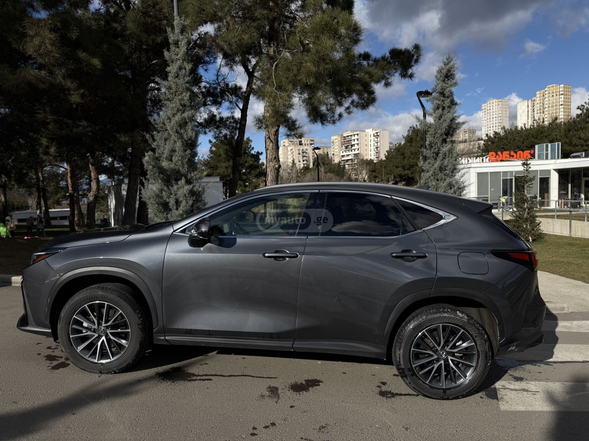 Lexus Premium — миниатюра 3