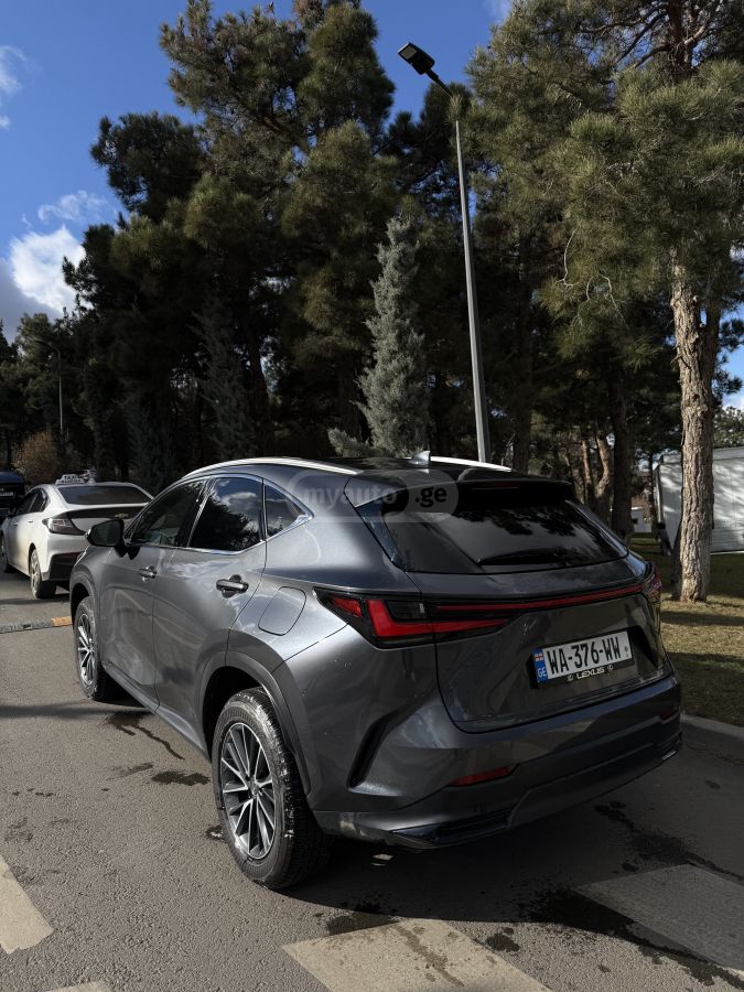 Lexus Premium — миниатюра 4