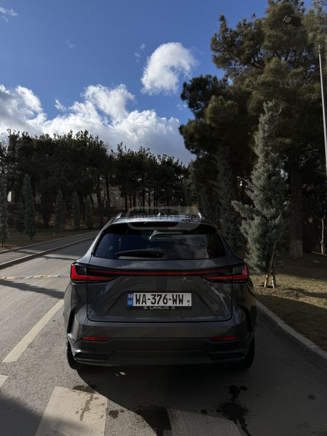 Lexus Premium — миниатюра 5