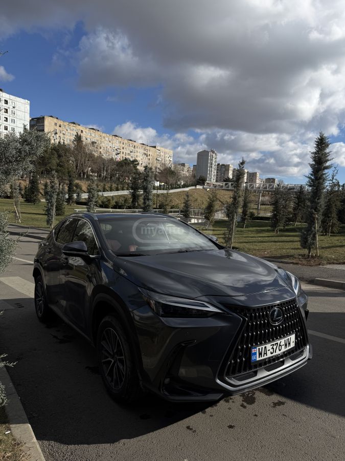 Lexus Premium — миниатюра 6