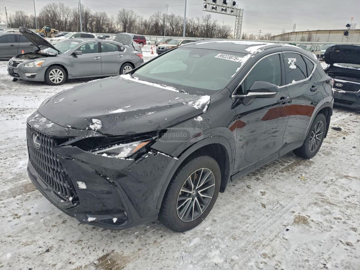 Lexus NX 250 2025 — миниатюра 1