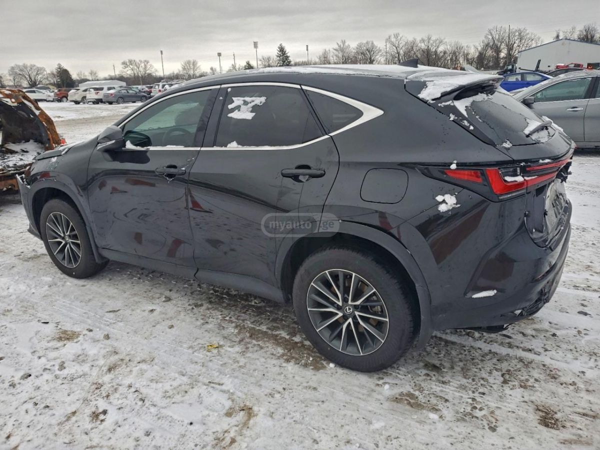 Lexus NX 250 2025 — миниатюра 2