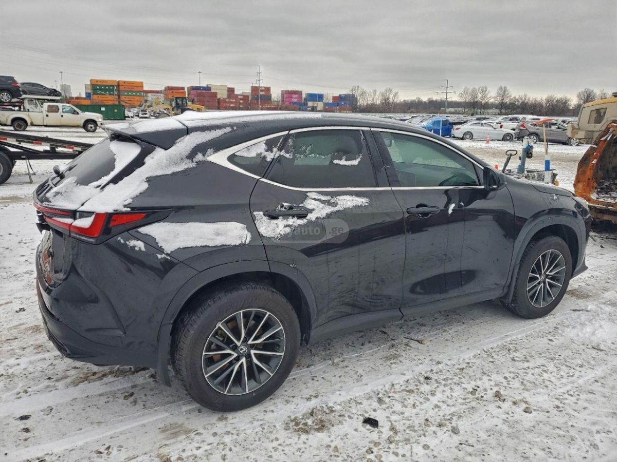 Lexus NX 250 2025 — миниатюра 3
