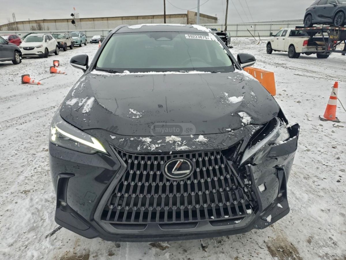 Lexus NX 250 2025 — миниатюра 5