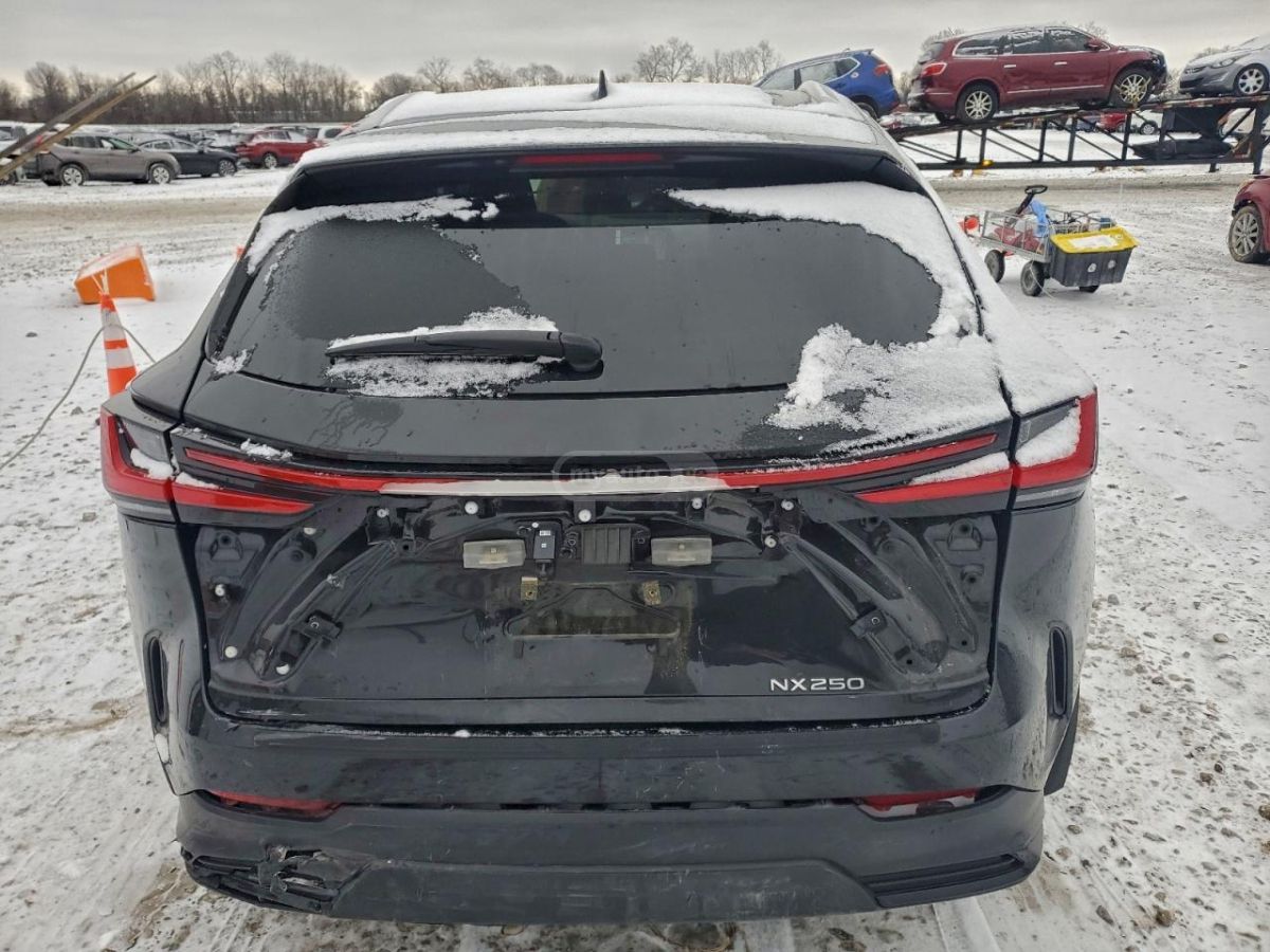 Lexus NX 250 2025 — миниатюра 6