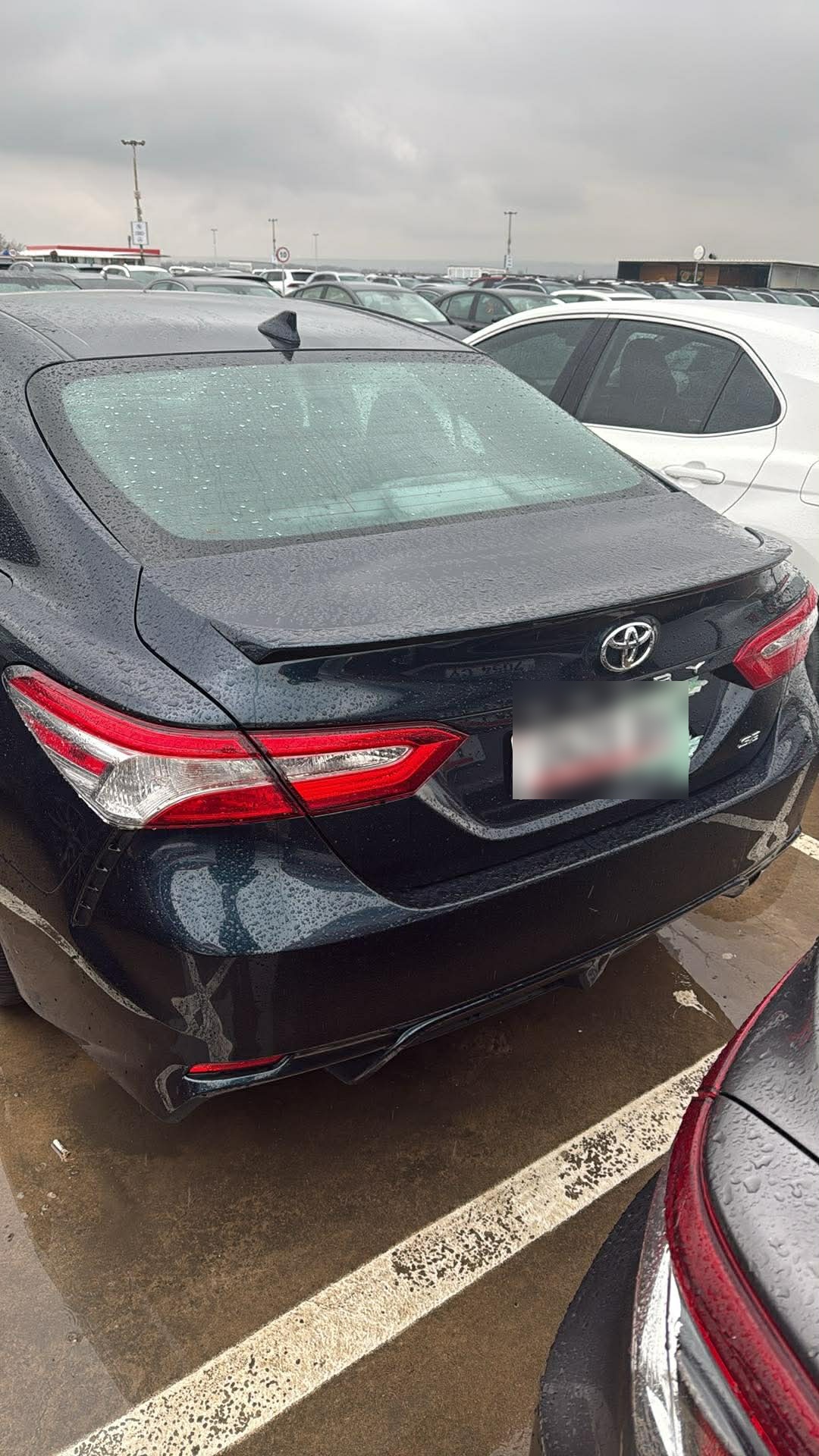 Toyota LE 4dr Front-Wheel Drive Sedan — миниатюра 5