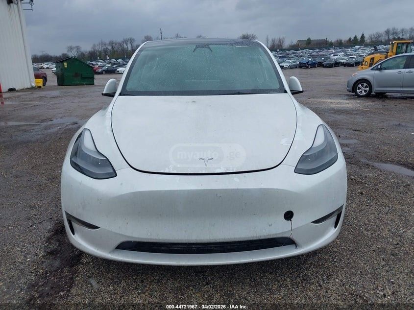 Tesla Model Y - фото 1