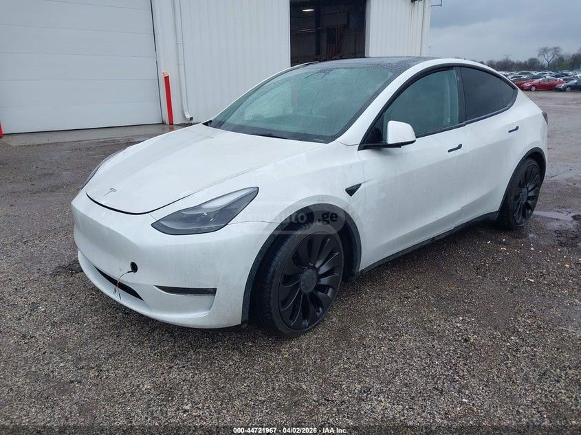 Tesla Model Y - фото 2
