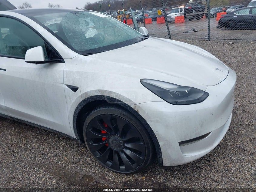 Tesla Model Y - фото 6