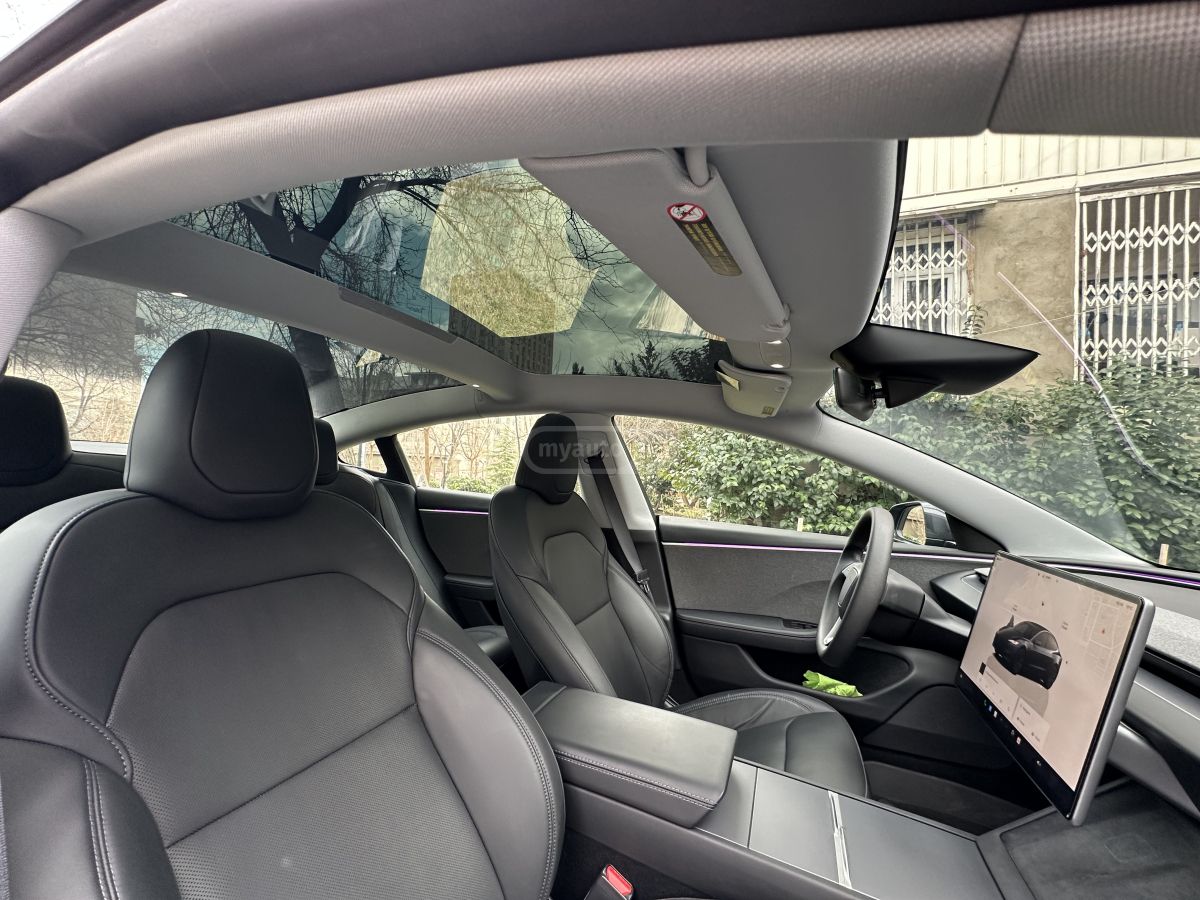 Tesla Long Range — миниатюра 1