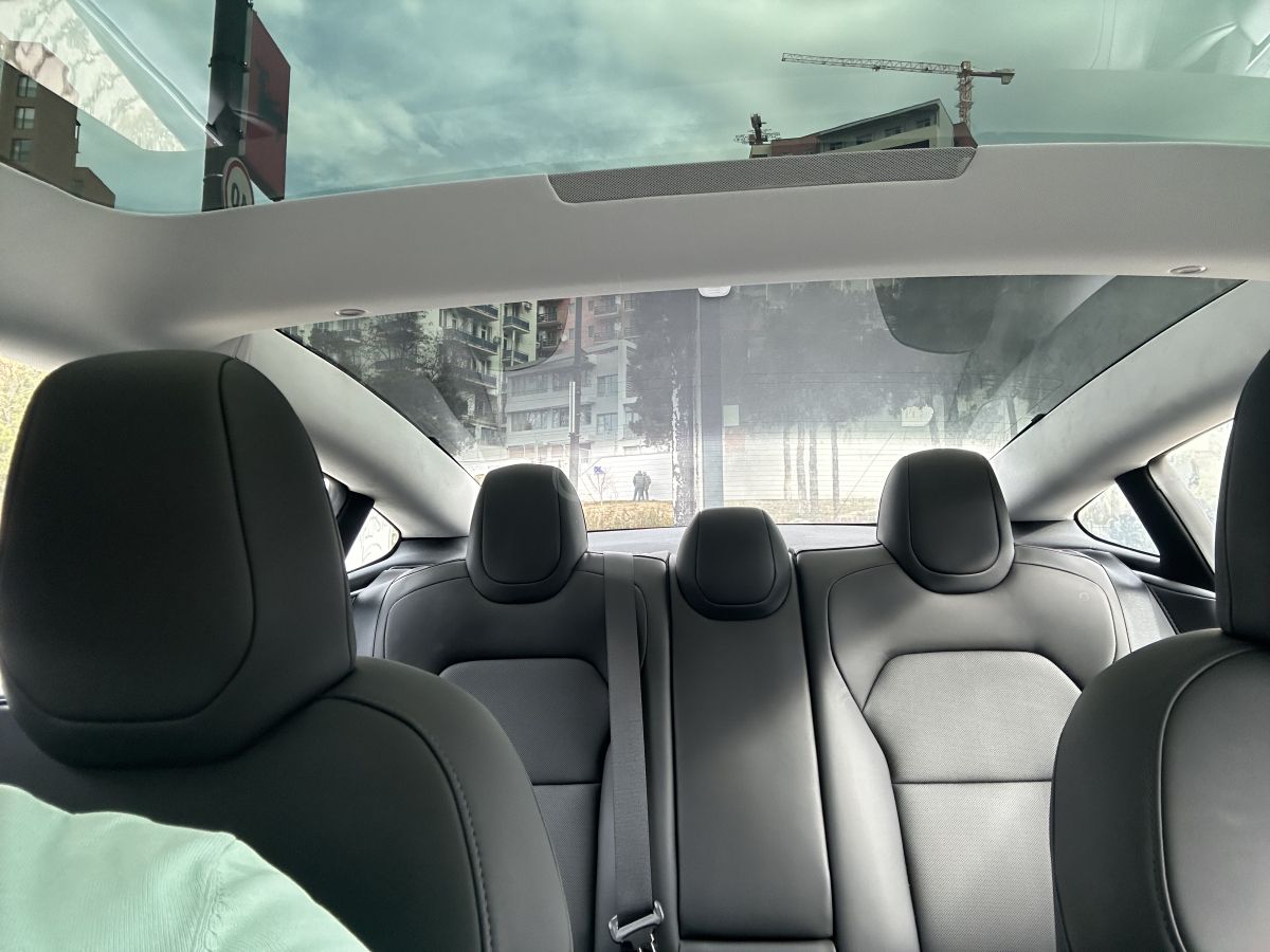 Tesla Long Range — миниатюра 10