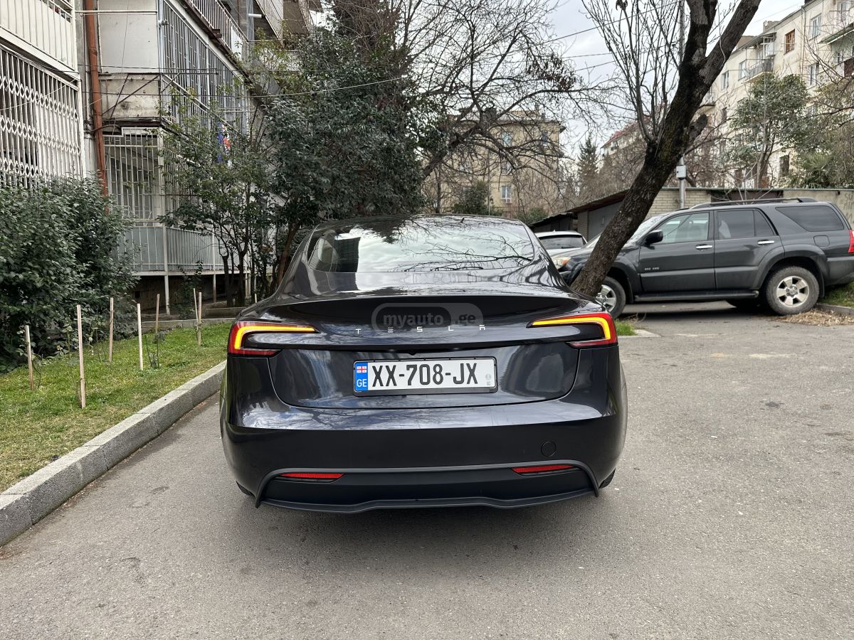 Tesla Long Range — миниатюра 4