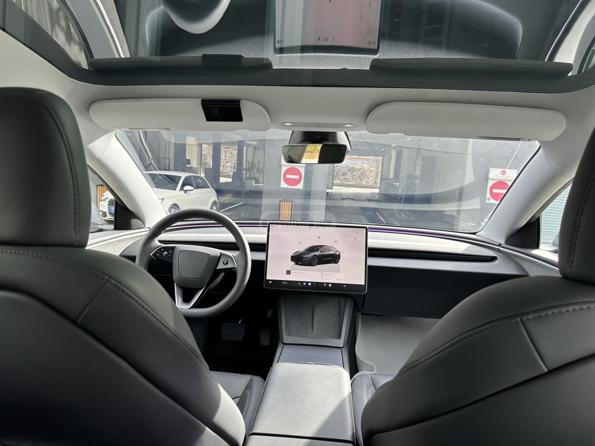 Tesla Long Range — миниатюра 9