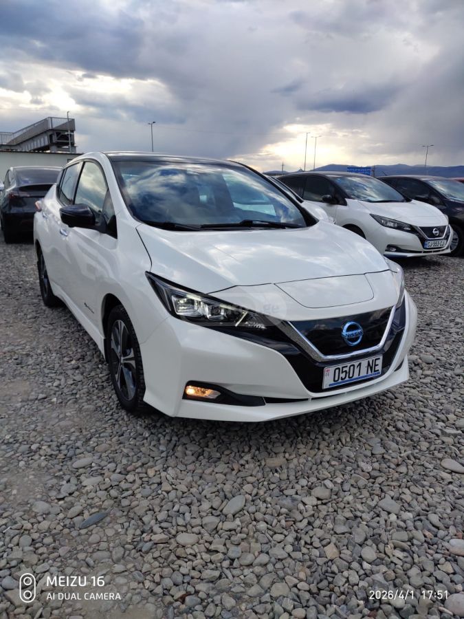Nissan Leaf - фото 1