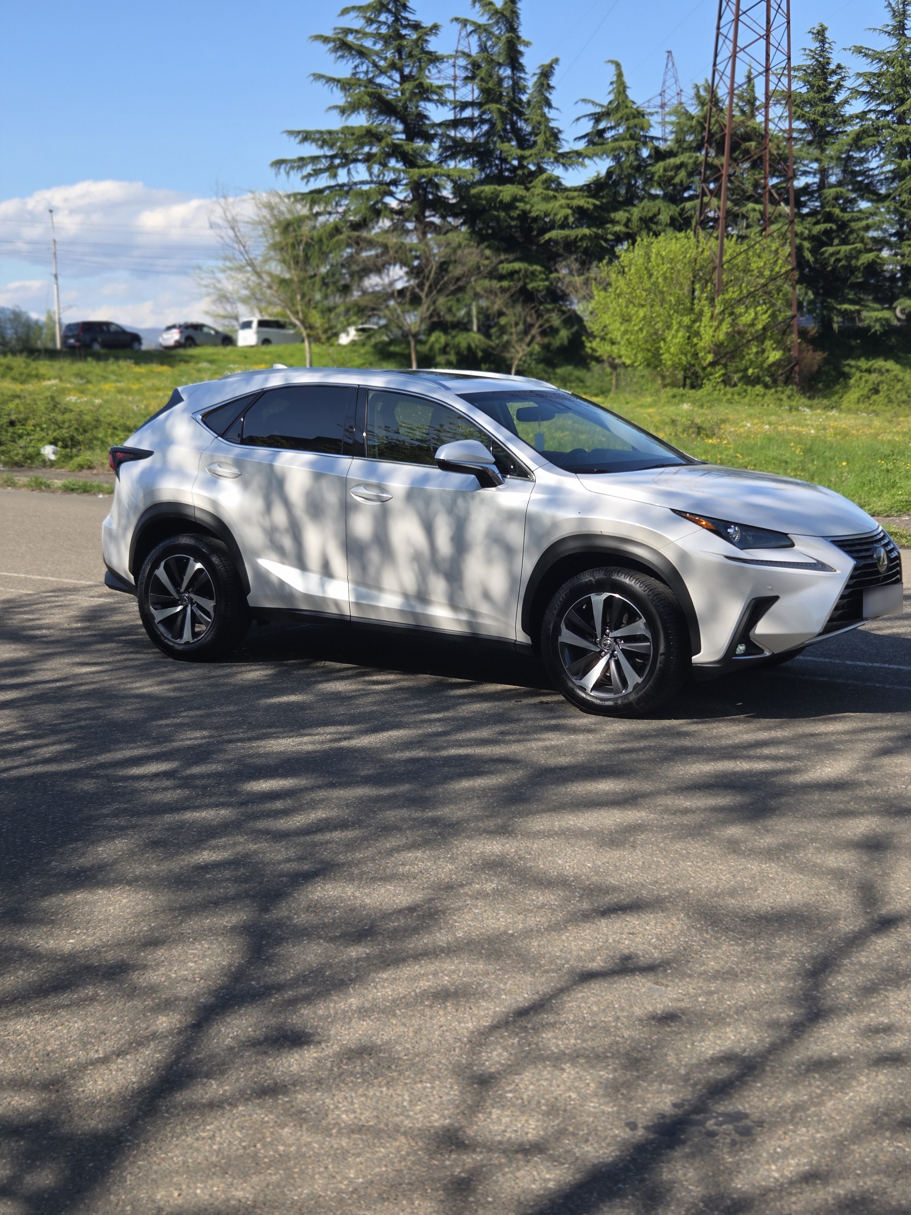 Lexus NX 300 - фото 1