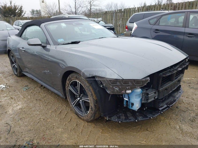 Ford Mustang 2025 — миниатюра 1