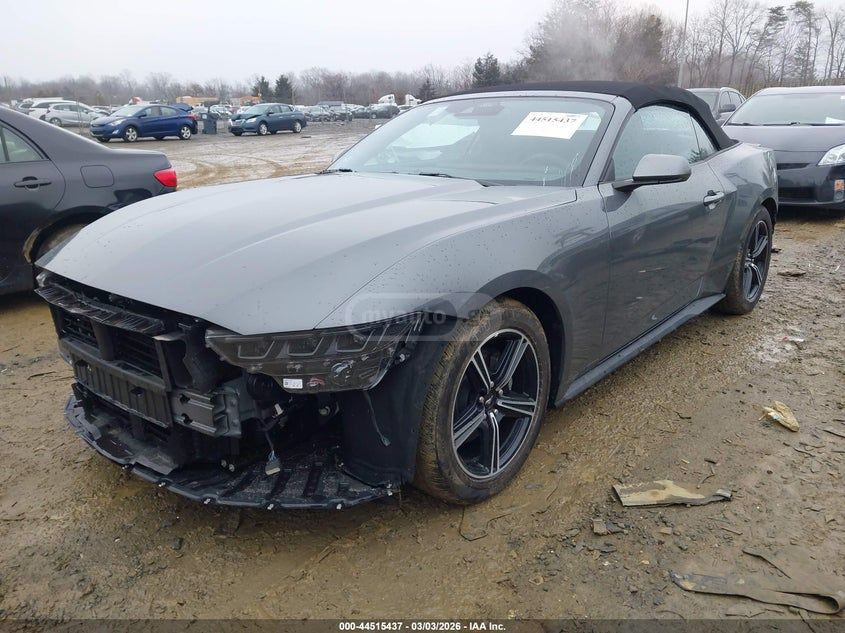 Ford Mustang 2025 — миниатюра 2