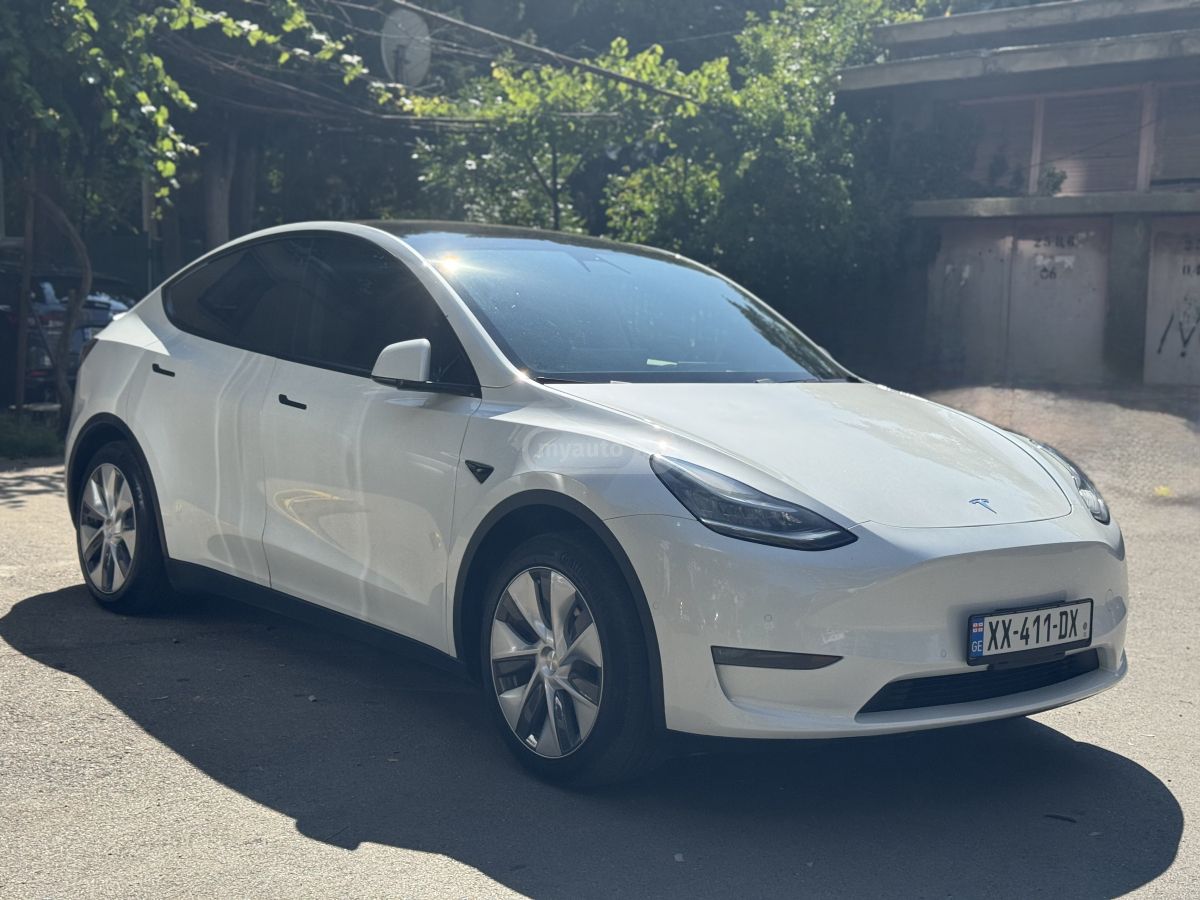 Tesla Model Y - фото 1