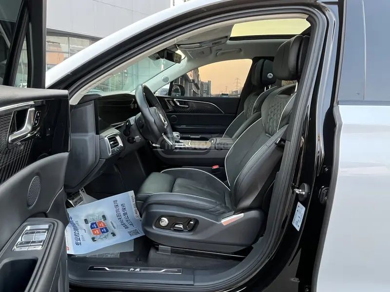 Hongqi E-HS9 - фото 12