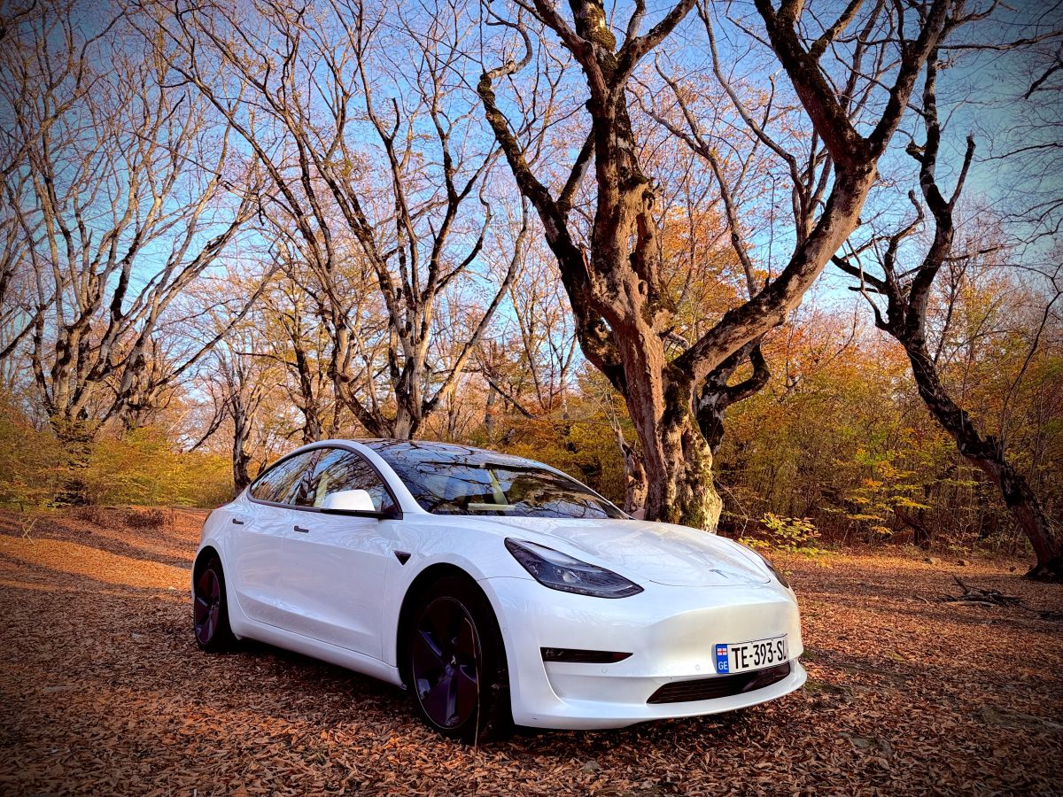 Tesla Model 3 - фото 1