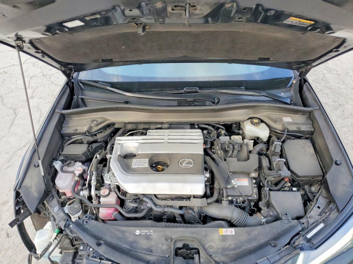 Lexus UX 250 h - фото 12