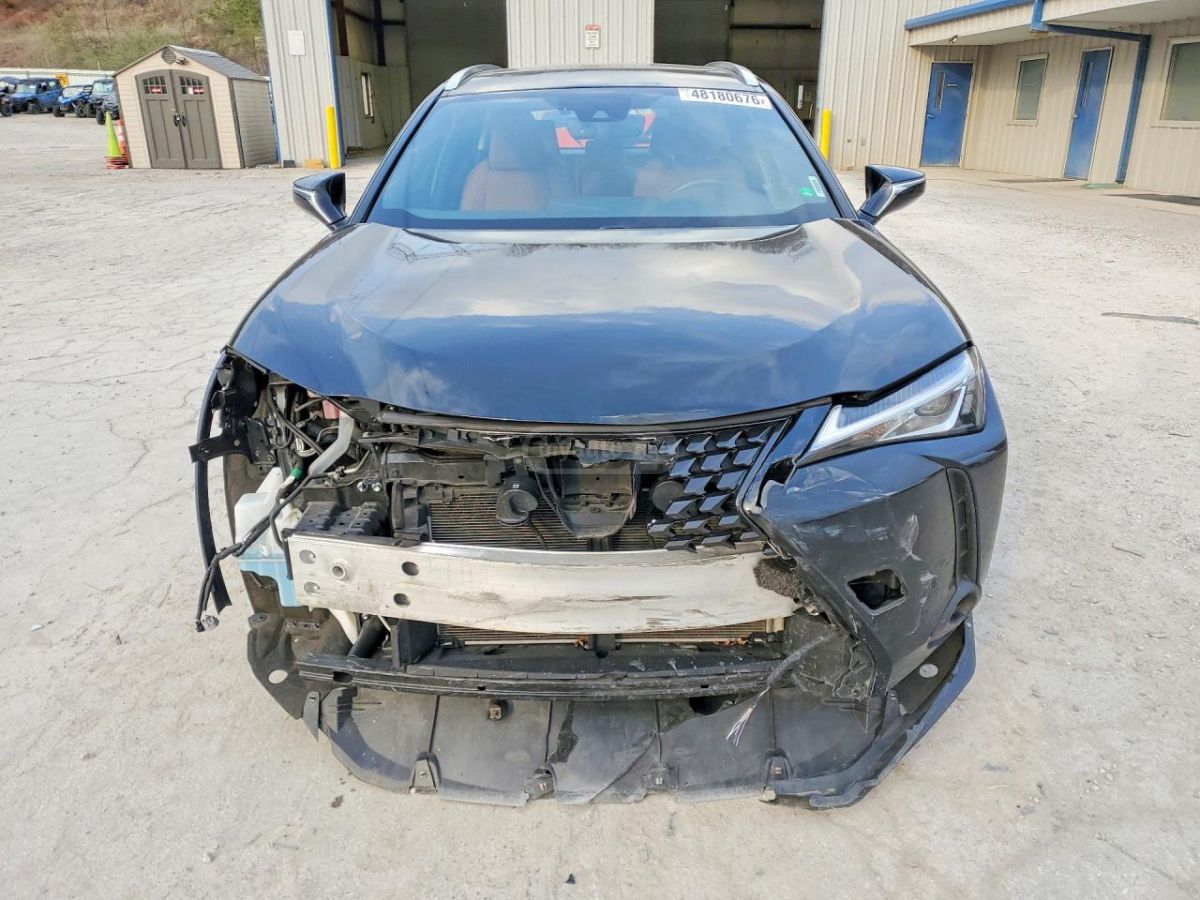 Lexus UX 250 h - фото 5