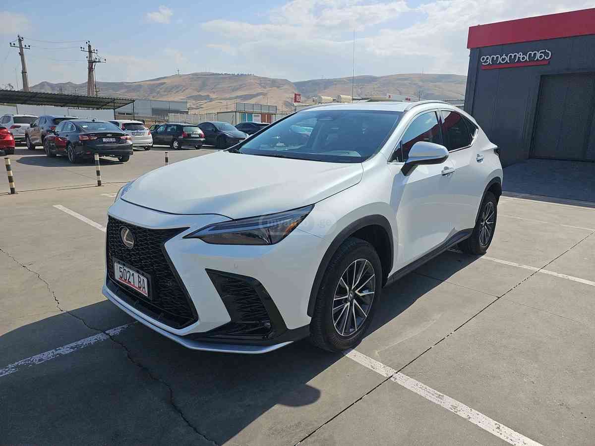 Lexus NX 250 2023 — миниатюра 1