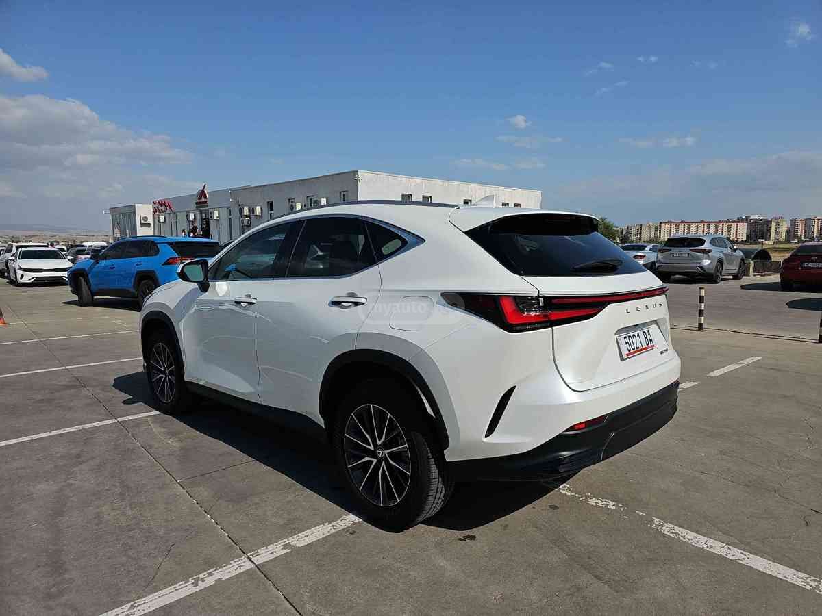 Lexus NX 250 2023 — миниатюра 10