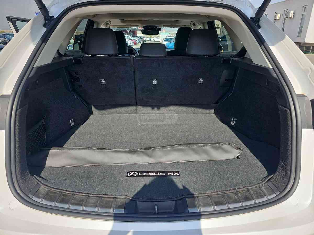 Lexus NX 250 2023 — миниатюра 4