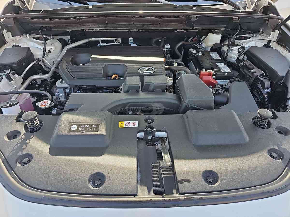 Lexus NX 250 2023 — миниатюра 5