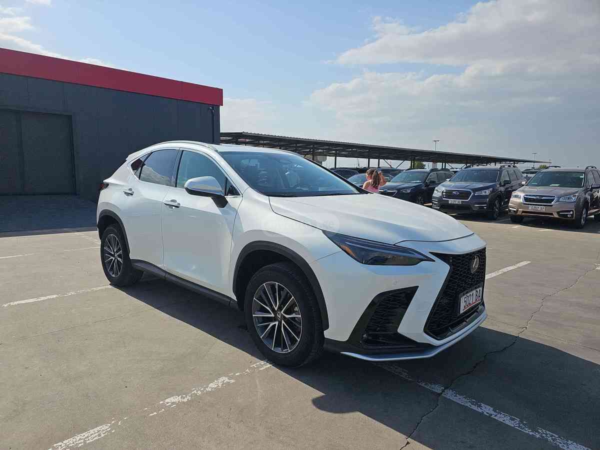 Lexus NX 250 2023 — миниатюра 7