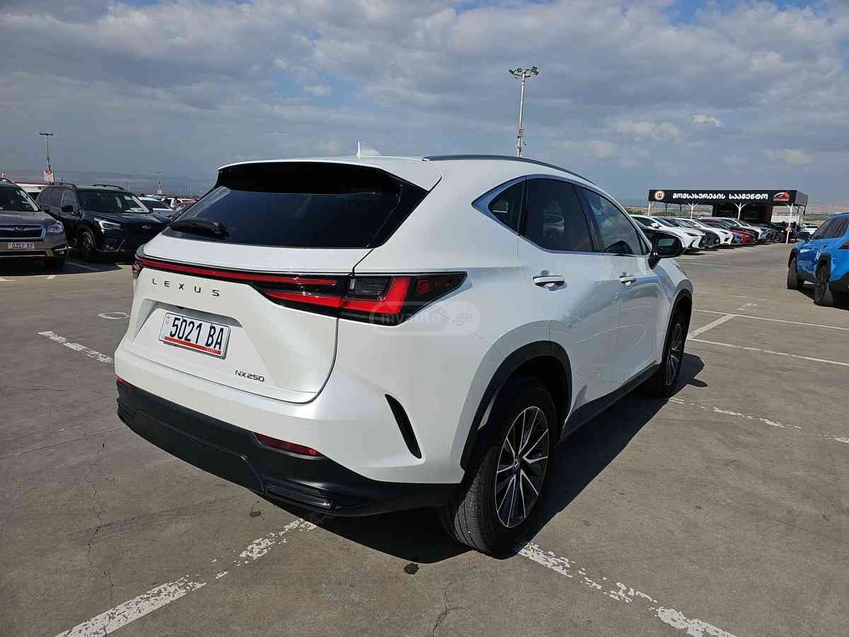 Lexus NX 250 2023 — миниатюра 8