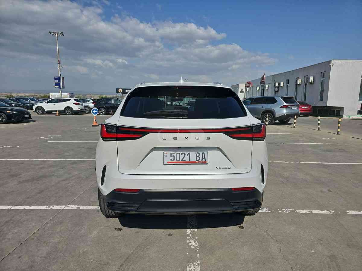 Lexus NX 250 2023 — миниатюра 9