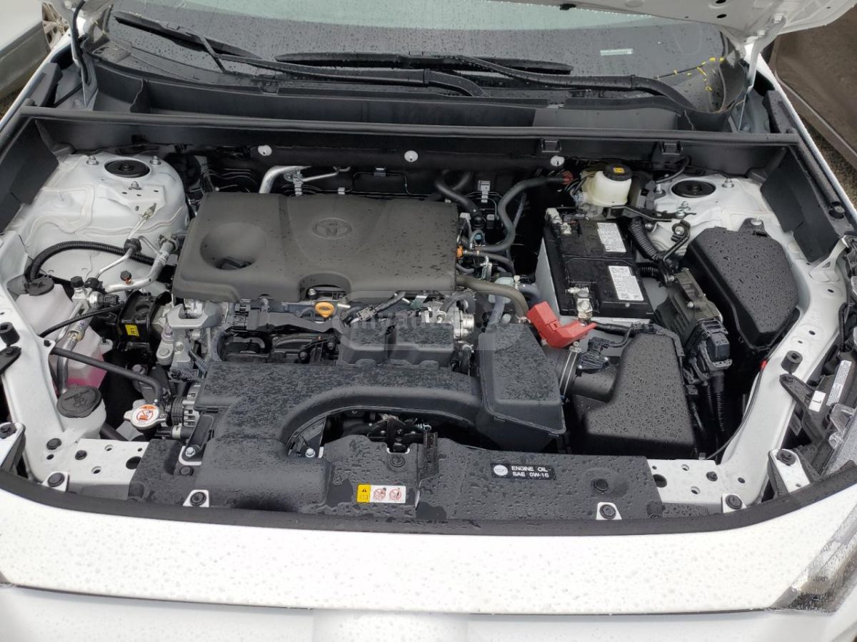 Toyota XLE — миниатюра 9